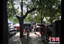 猥褻兒童事件頻發：校園性教育何時不再尷尬？