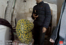 利潤(rùn)超販毒！農(nóng)村黑作坊生產(chǎn)假減肥藥，銷往20余省