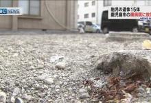 日本廢棄20年