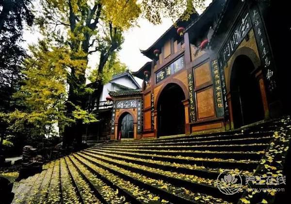 感悟道教文化,在嶗山體驗(yàn)另類養(yǎng)生休閑游 感悟道教文化,在嶗山體驗(yàn)另類養(yǎng)生休閑游