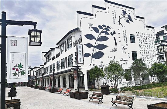 中藥文化開啟一段岐黃養生—“百草臨岐”之旅 中藥文化開啟一段岐黃養生—“百草臨岐”之旅