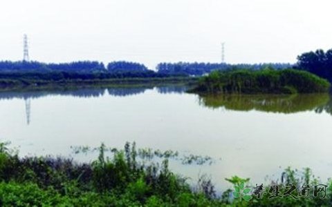 南京溧水地震 發(fā)生地震該怎么辦