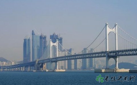 俄貨輪醉駕撞大橋 喝酒有什么危害