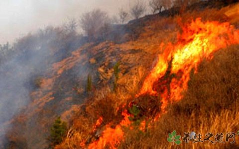 澳大利亞南部熱浪 天氣炎熱要注意什么