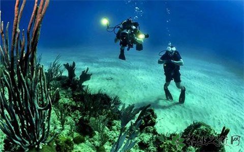 潛水員被鯨魚吞入 潛水安全注意事項(xiàng)