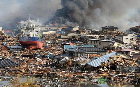 日本大地震8周年 地震后常見疾病有哪些