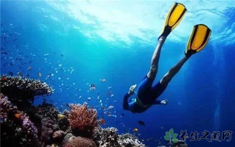潛水員被鯨魚吞入 潛水安全注意事項(xiàng)