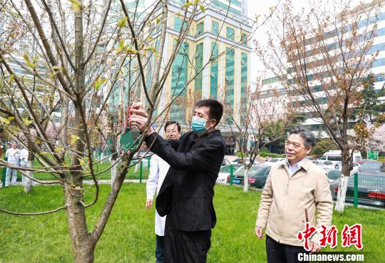 男子罹患多種疾病 同時換心臟和主動脈獲新生 男子罹患多種疾病 同時換心臟和主動脈獲新生