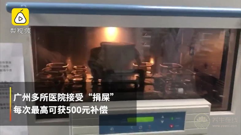 廣州多所醫院接受“捐屎”:每次最高可獲五百元補償 廣州多所醫院接受“捐屎”:每次最高可獲五百元補償