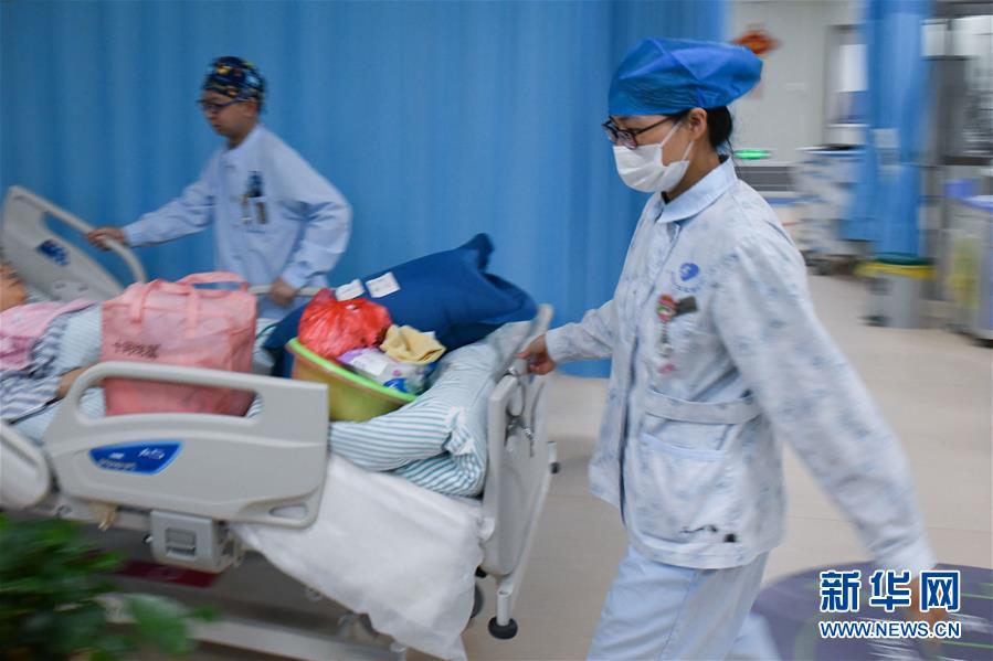 生死邊緣的溫情守護 生死邊緣的溫情守護