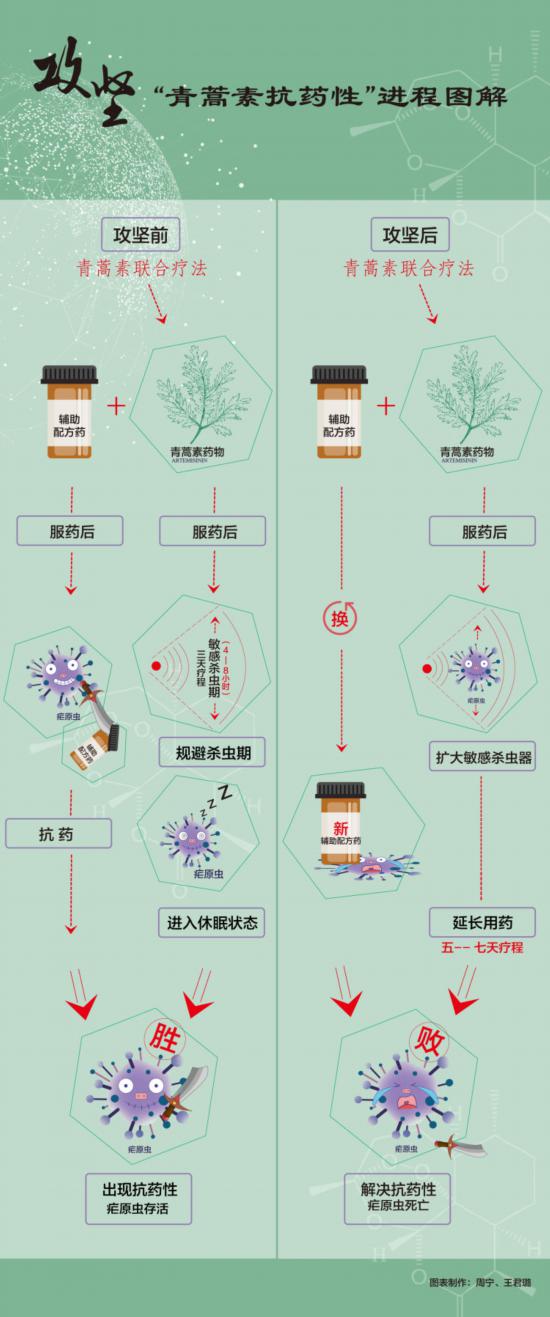 屠呦呦團隊放“大招”：“青蒿素抗藥性”等研究獲新突破