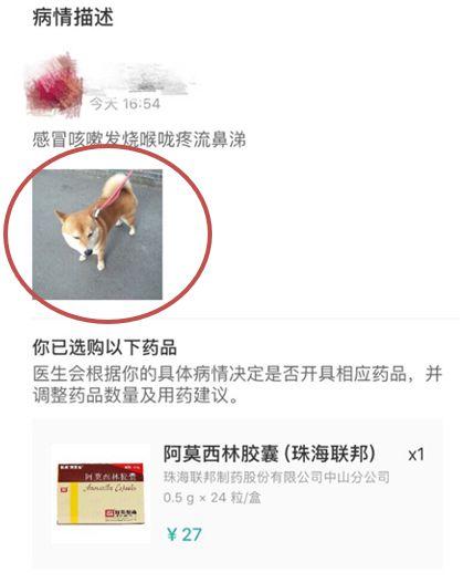 寵物照片充當(dāng)處方竟能網(wǎng)購處方藥