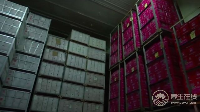 天價(jià)蘋果幕后，竟然是這一群人在幕后推手