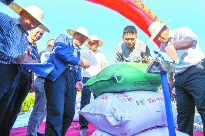 1046.3公斤！袁隆平第三代雜交水稻測產(chǎn)