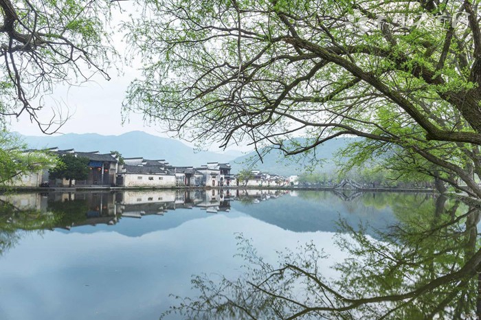 最美天路垃圾成山 垃圾污染的危害有哪些