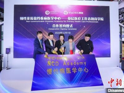 專家進(jìn)博會(huì)共議合作抗疫 提高基層醫(yī)療服務(wù)水平措施多多的