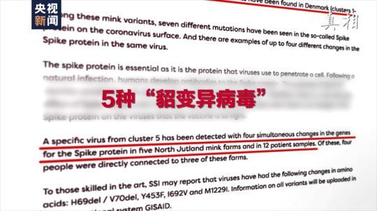 四問搞懂：丹麥變異新冠病毒“貂傳人”究竟多嚴重
