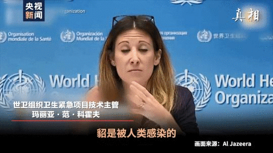 四問搞懂：丹麥變異新冠病毒“貂傳人”究竟多嚴重