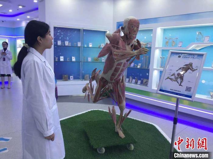 安徽醫科大學人體科學館、博物館中醫珍品館開館-易網健康<a href=http://www.aoa7937.com/jkys/ target=_blank class=infotextkey>養生</a>網 安徽醫科大學人體科學館、博物館中醫珍品館開館