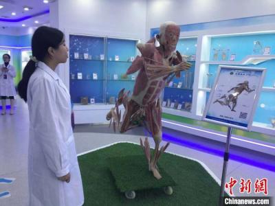 安徽醫(yī)科大學(xué)人體科學(xué)館、博物館中醫(yī)珍品館開館