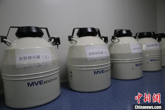 寧夏銀川:科技賦能 讓輔助生殖技術“茁壯成長”-易網(wǎng)<a href=http://www.aoa7937.com/ target=_blank class=infotextkey>健康養(yǎng)生</a>網(wǎng) 寧夏銀川:科技賦能 讓輔助生殖技術“茁壯成長”