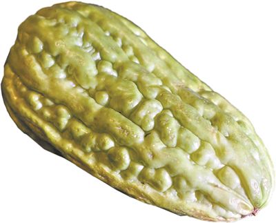 炎夏“君子菜”個(gè)性又包容