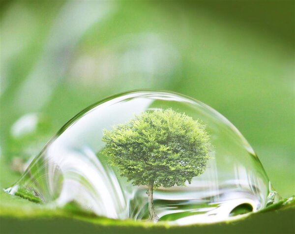為啥要買綠化好的小區？PNAS：小區綠化好，小孩成年后精神病風險降低
