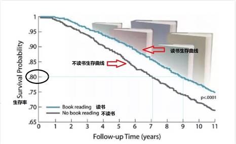 讀書越多，活得越久？耶魯大學：每天閱讀30分鐘，不僅更長壽，而且更幸福