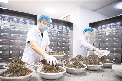 傳岐黃之術佑百姓健康