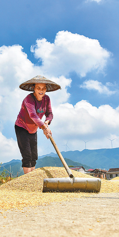 “兩節”商品足供應保障穩(新時代畫卷)-易網健康<a href=http://www.aoa7937.com/jkys/ target=_blank class=infotextkey>養生</a>網 “兩節”商品足供應保障穩(新時代畫卷)