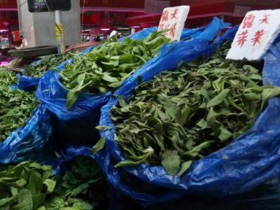 鈣含量在蔬菜中“名列前茅” 它的好處竟然有這么多！