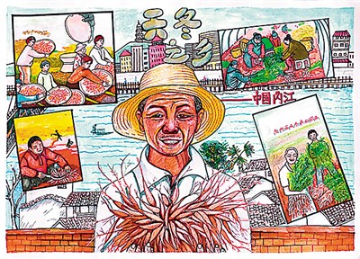 天冬種出“甜日子”-易網(wǎng)健康養(yǎng)生網(wǎng) 天冬種出“甜日子”