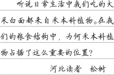 主食為何大多來(lái)自禾本科？（把自然講給你聽(tīng)）