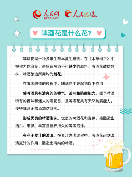 啤酒度數怎么看？啤酒花到底是什么花兒？