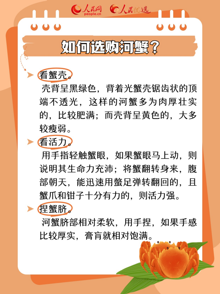 又到吃蟹季 如何選購優質螃蟹？