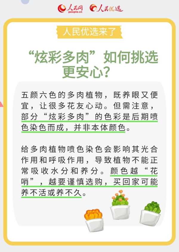 室內花卉綠植怎么選？實用小貼士請查收