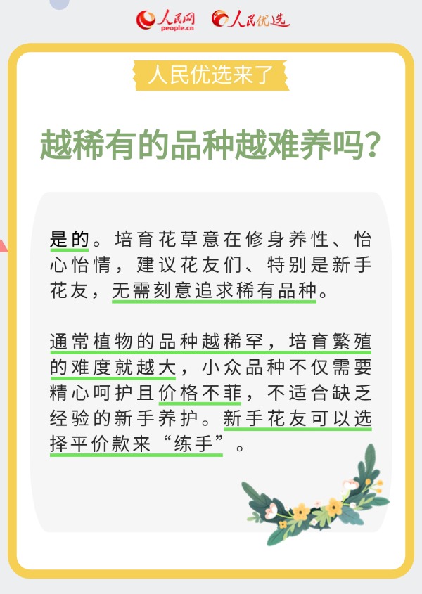 室內花卉綠植怎么選？實用小貼士請查收