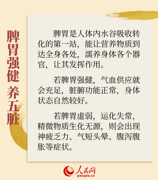 深秋時節養好脾胃 為健康過冬打基礎