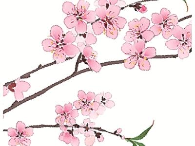 二十四節(jié)氣二十四問(wèn)