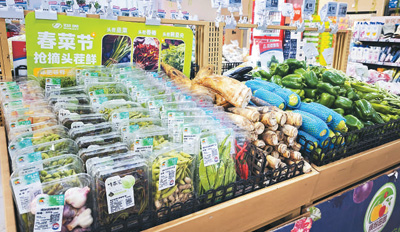 吃春菜,品“舌尖上的春天”(知食點)-易網健康<a href=http://www.aoa7937.com/jkys/ target=_blank class=infotextkey>養生</a>網 吃春菜,品“舌尖上的春天”(知食點)