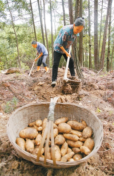 我國居民健康水平持續改善（大健康觀察）