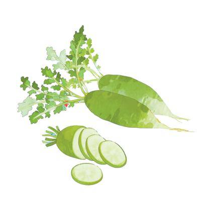 為什么“冬吃蘿卜夏吃姜”(文化中國行·二十四節氣二十四問)-易網健康<a href=http://www.aoa7937.com/jkys/ target=_blank class=infotextkey>養生</a>網 為什么“冬吃蘿卜夏吃姜”(文化中國行·二十四節氣二十四問)