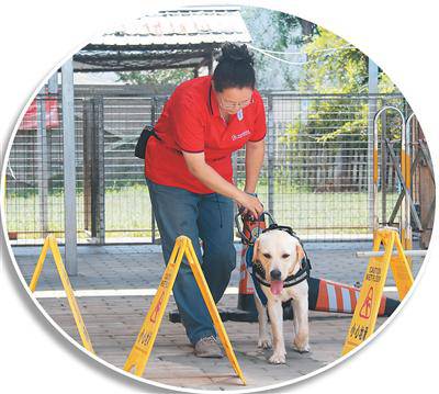 把“毛孩子”培養成“專業助手”（新職·新知?）