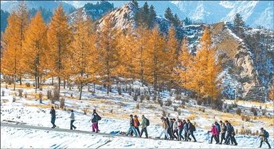冰天雪地，如何樂享戶外運動（健身視野·服務站）