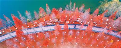 二〇二五，身心安泰就是福（年終盤點）