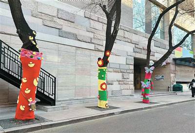 大樹(shù)“穿毛衣”  添趣又暖心