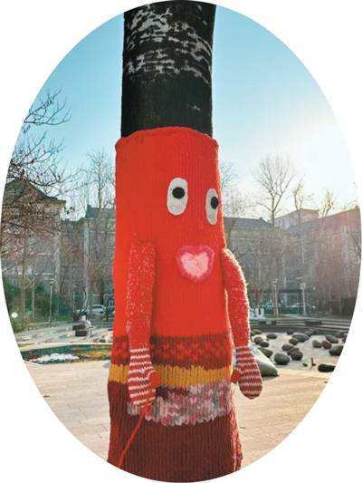 大樹(shù)“穿毛衣”  添趣又暖心