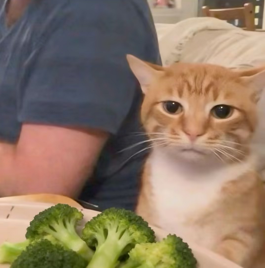 以為會巨長胖，其實能幫你瘦的9種食物，原來一直吃錯了！