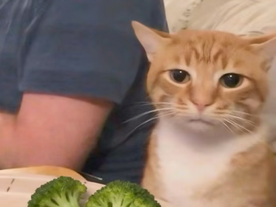 以為會巨長胖，其實能幫你瘦的9種食物，原來一直吃錯了！