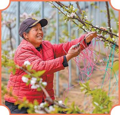 平凡日子里的幸福滋味（新春走基層）
